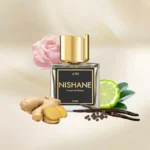 نیشانه آنی