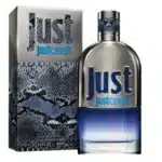 عطر روبرتو کاوالی جاست مردانه Roberto Cavalli Just Cavalli for Men - Image 2