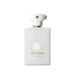 عطر آمواج دسیژن مردانه Amouage Decision