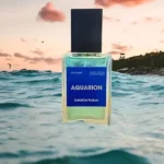 عطر تیموری آکواریون Teymouri Perfume Aquarion - Image 2